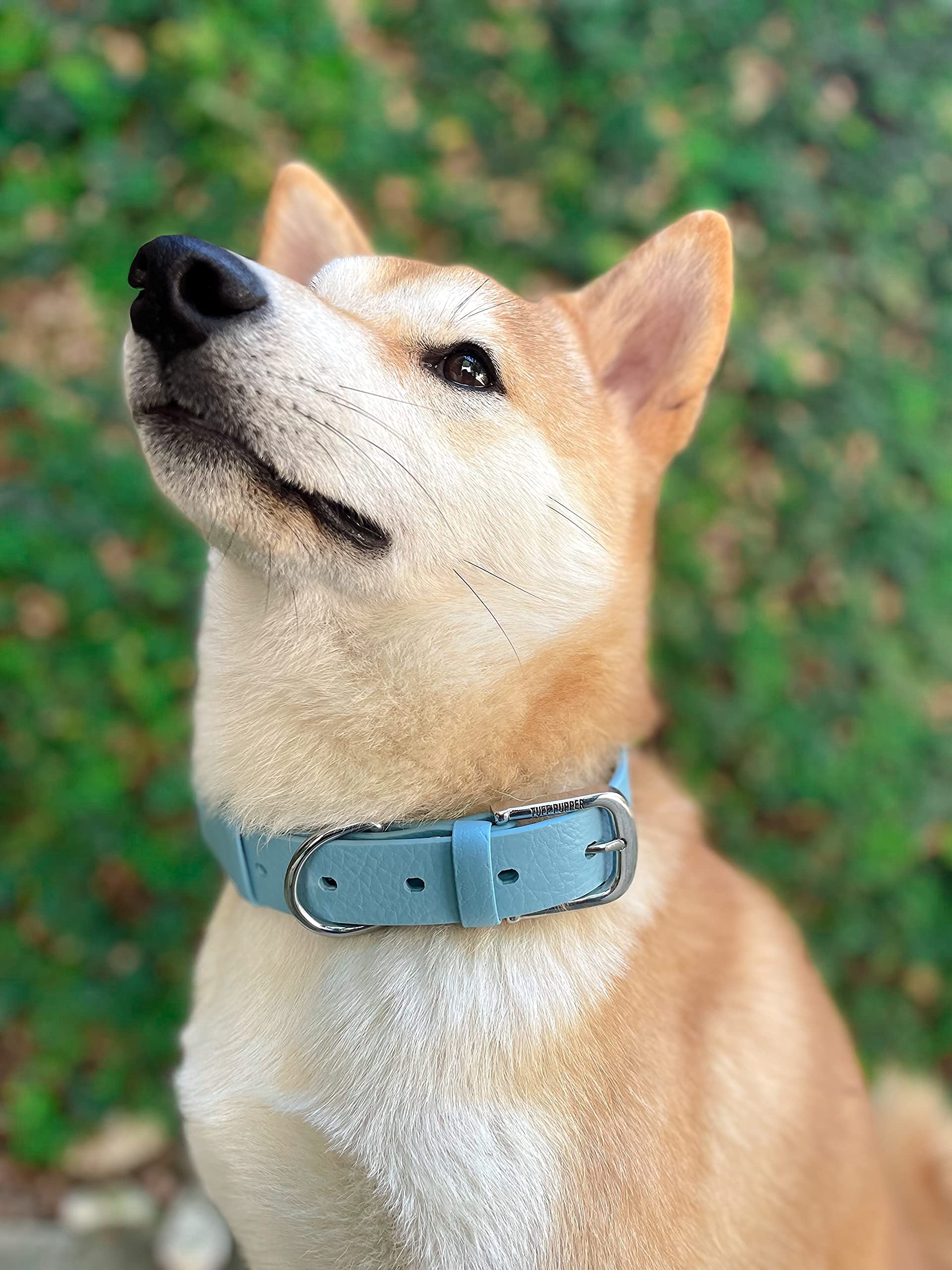 Tuff Pupper Scratches and tears resistant design stands up to energetic play