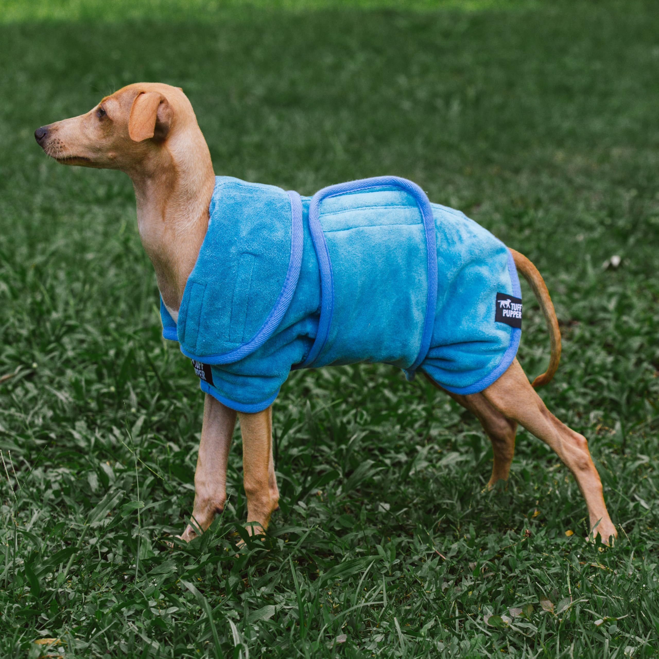 Tuff Pupper seven-size XS Blue variant fits most breeds