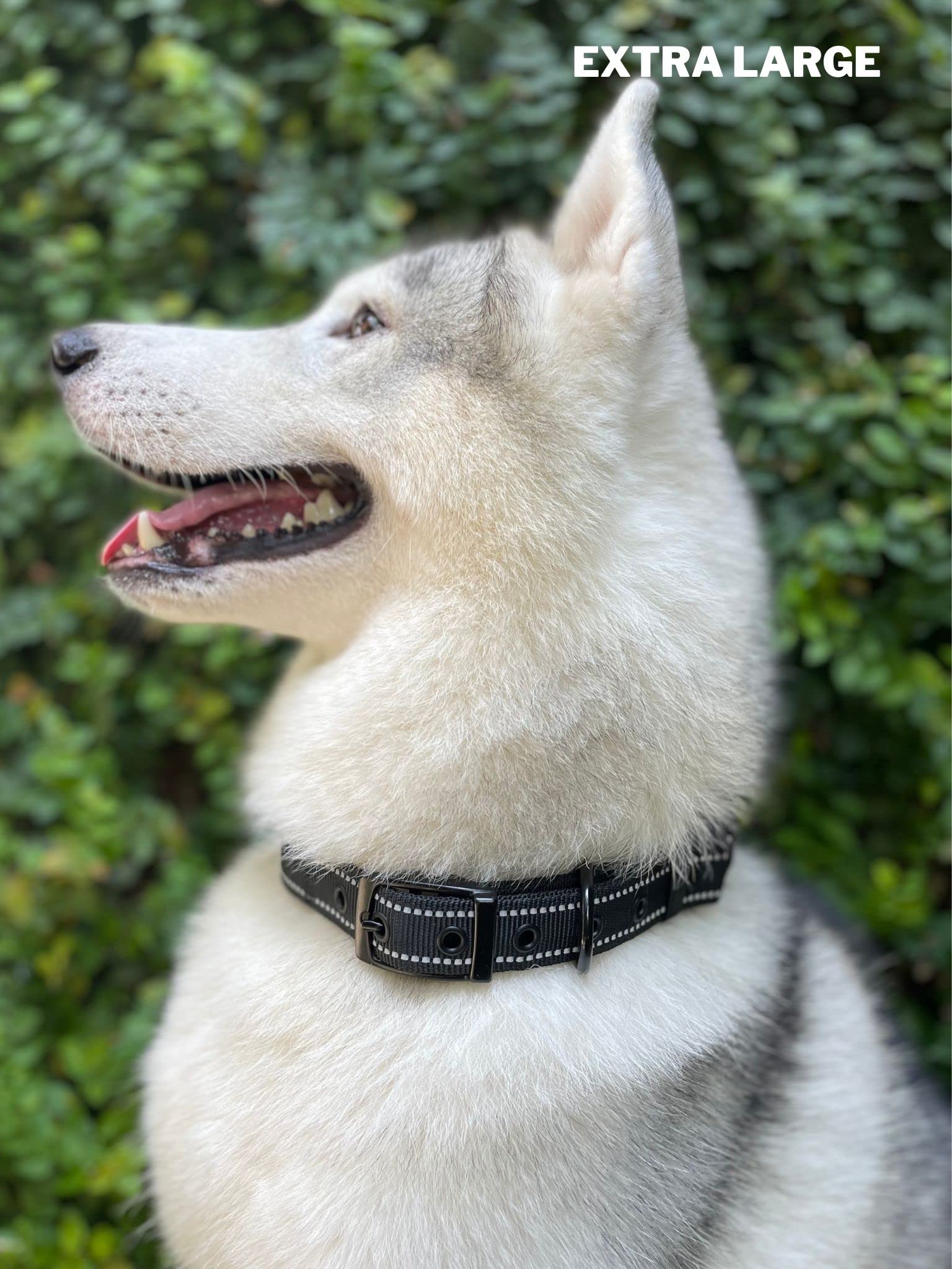 Tuff Pupper sizing chart helps pick the right collar for any breed.