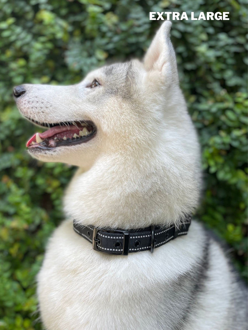 Tuff Pupper sizing chart helps pick the right collar for any breed.