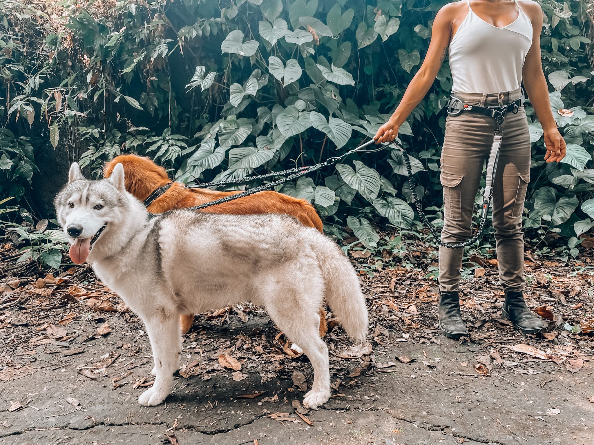 Tuff Pupper stainless steel attachments ensure secure connections.