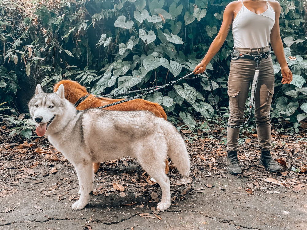 Tuff Pupper stainless steel attachments ensure secure connections.