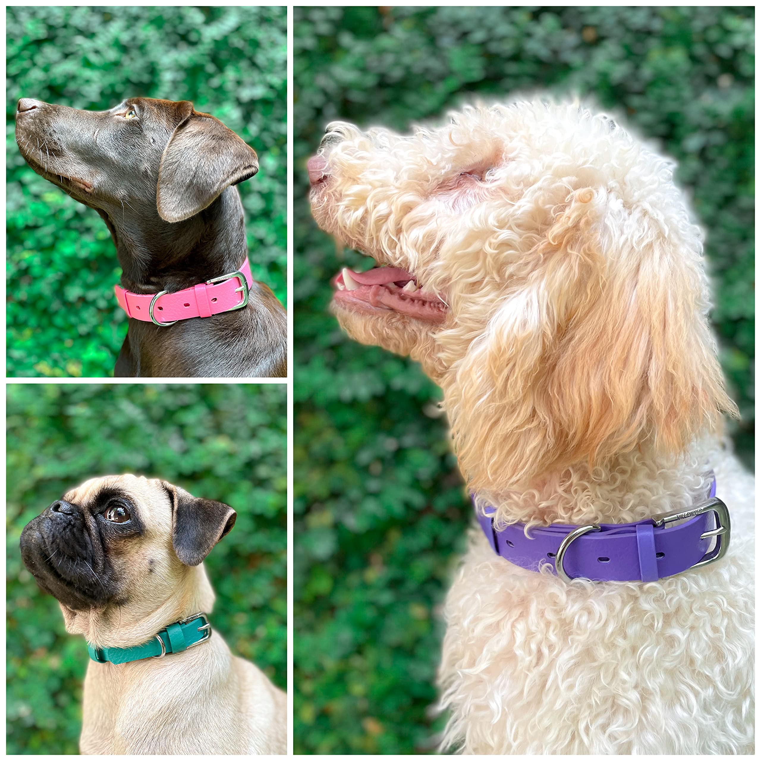 Tuff Pupper Stylish Heavy-Duty Design offers premium aesthetics with rugged strength.