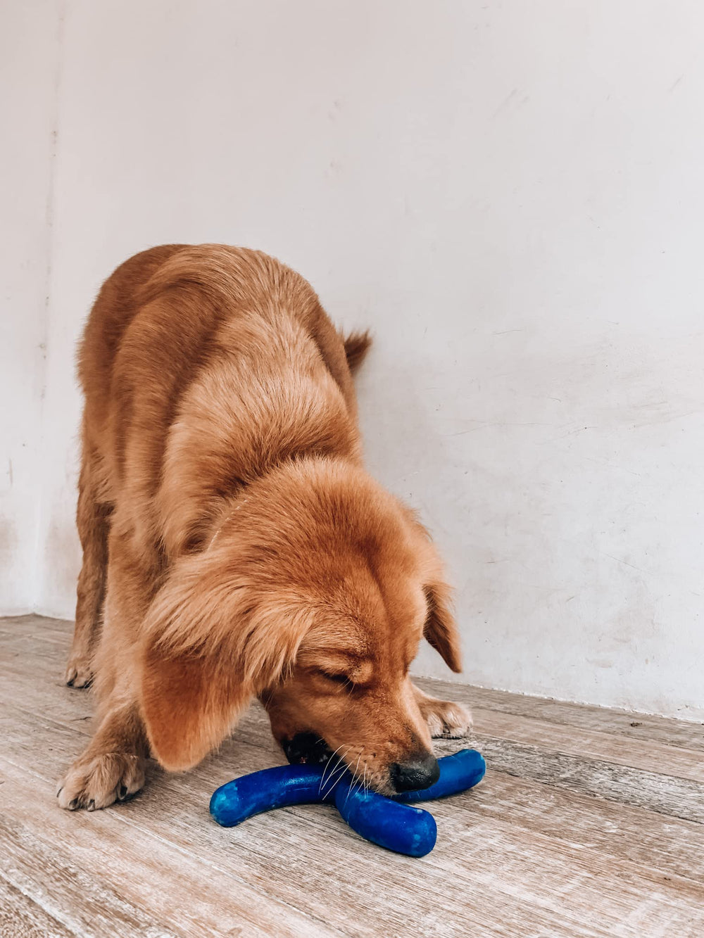 Tuff Pupper SuperChewy for large breeds enjoying rugged play outdoors.