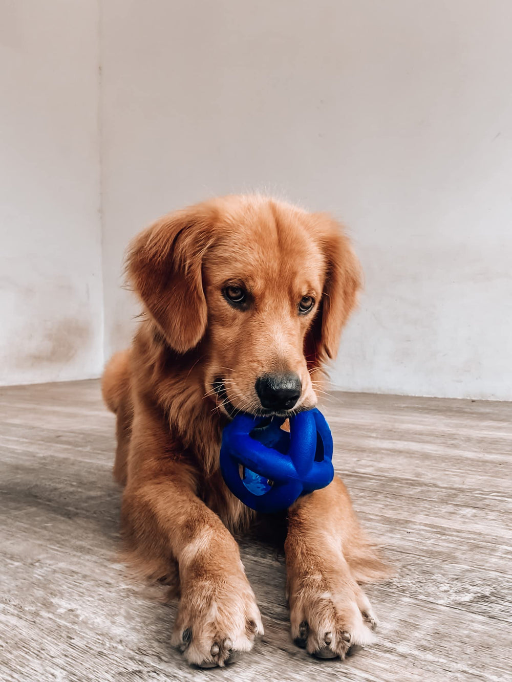 Tuff Pupper SuperChewy cage ball toy easy to clean with soap