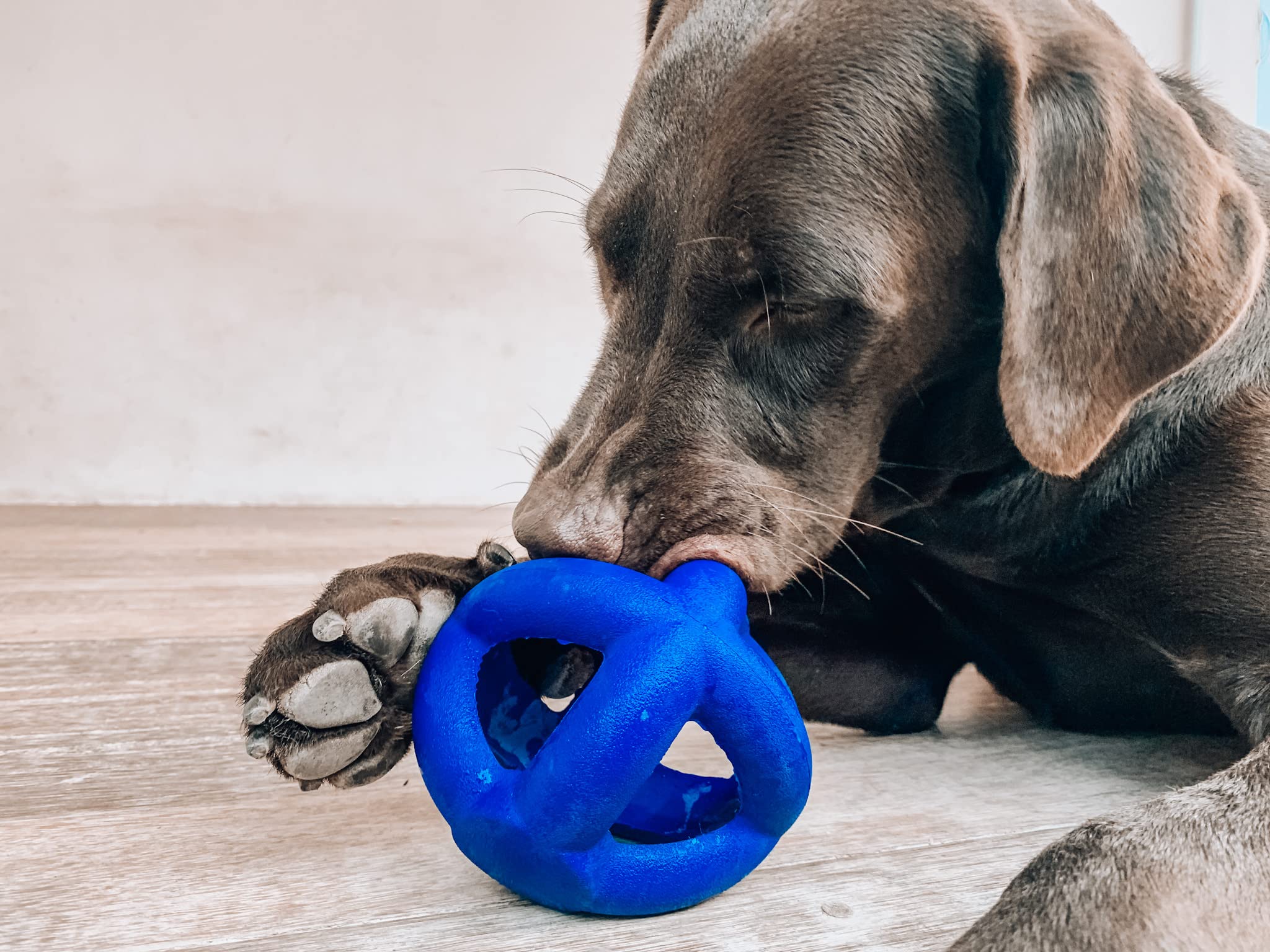 Tuff Pupper SuperChewy cage ball toy lifetime replacement guarantee