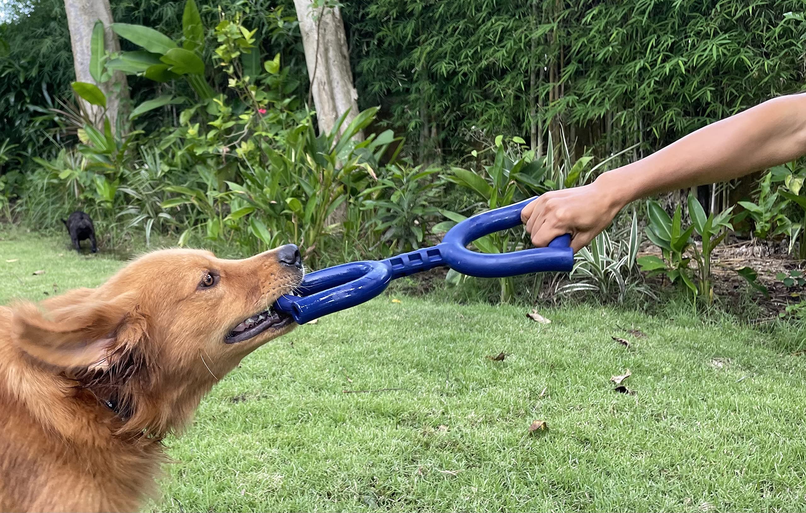Tuff Pupper SuperChewy Tug Toy pictured in grass for visibility