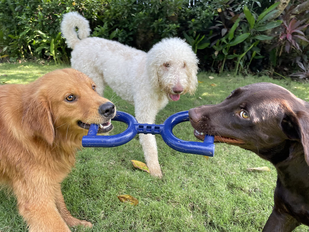 Tuff Pupper SuperChewy Tug Toy lifetime replacement guarantee highlight