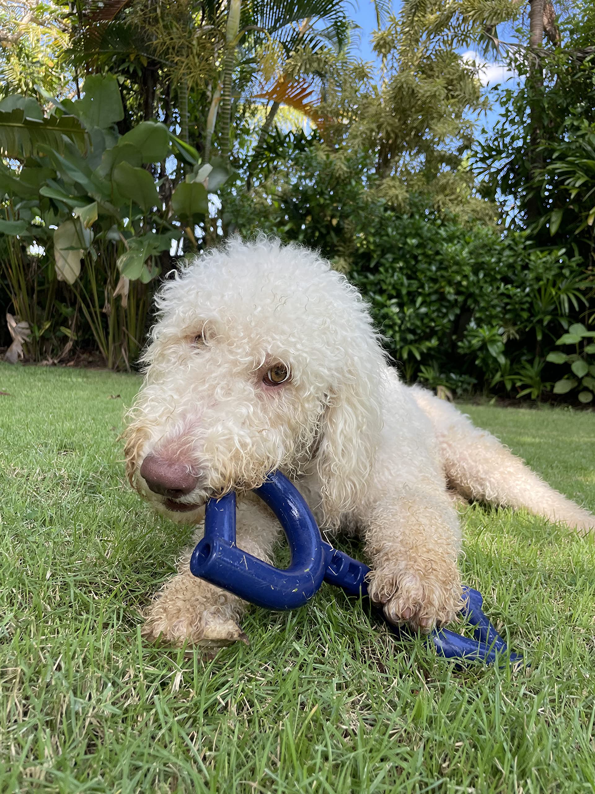 Tuff Pupper SuperChewy Tug Toy made from safe, non-toxic materials