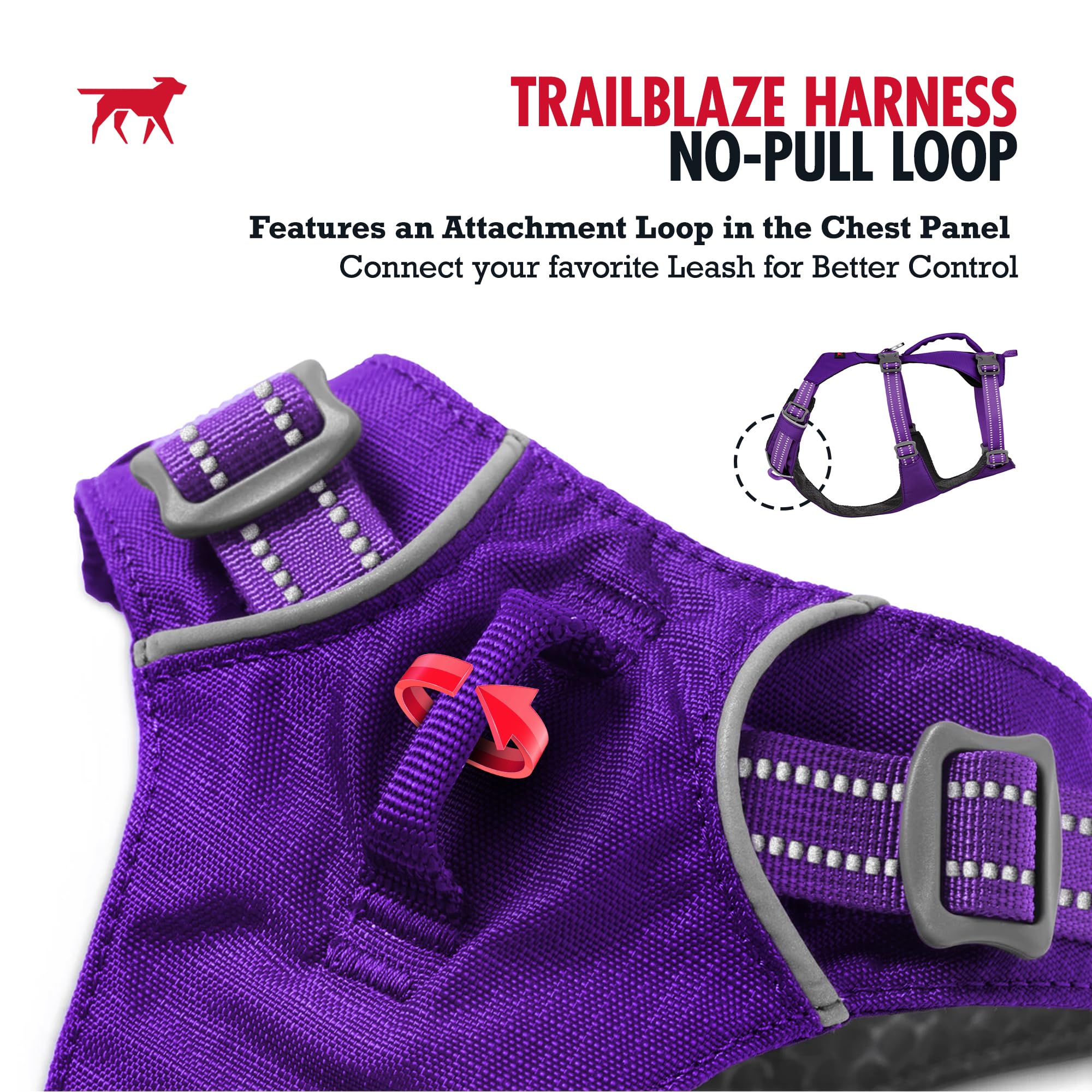 Reflective trim on the TrailBlaze harness enhances visibility during dawn or dusk walks