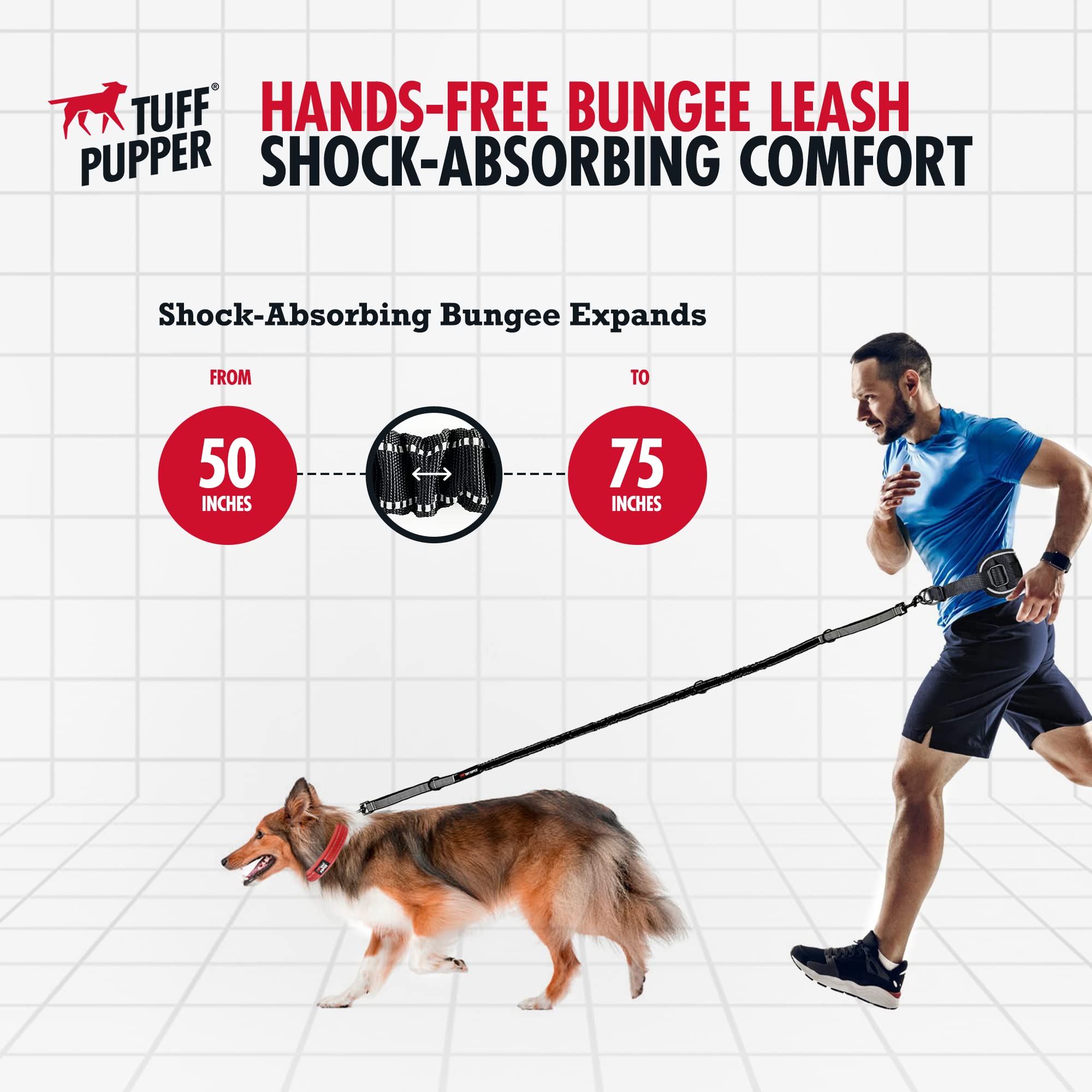 Tuff Pupper two-bungee-sections show absorption during pulling.