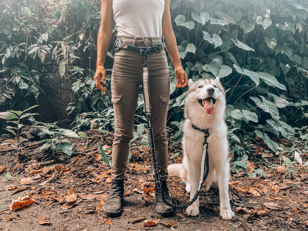 Tuff Pupper urban walk scene highlights hands-free convenience.