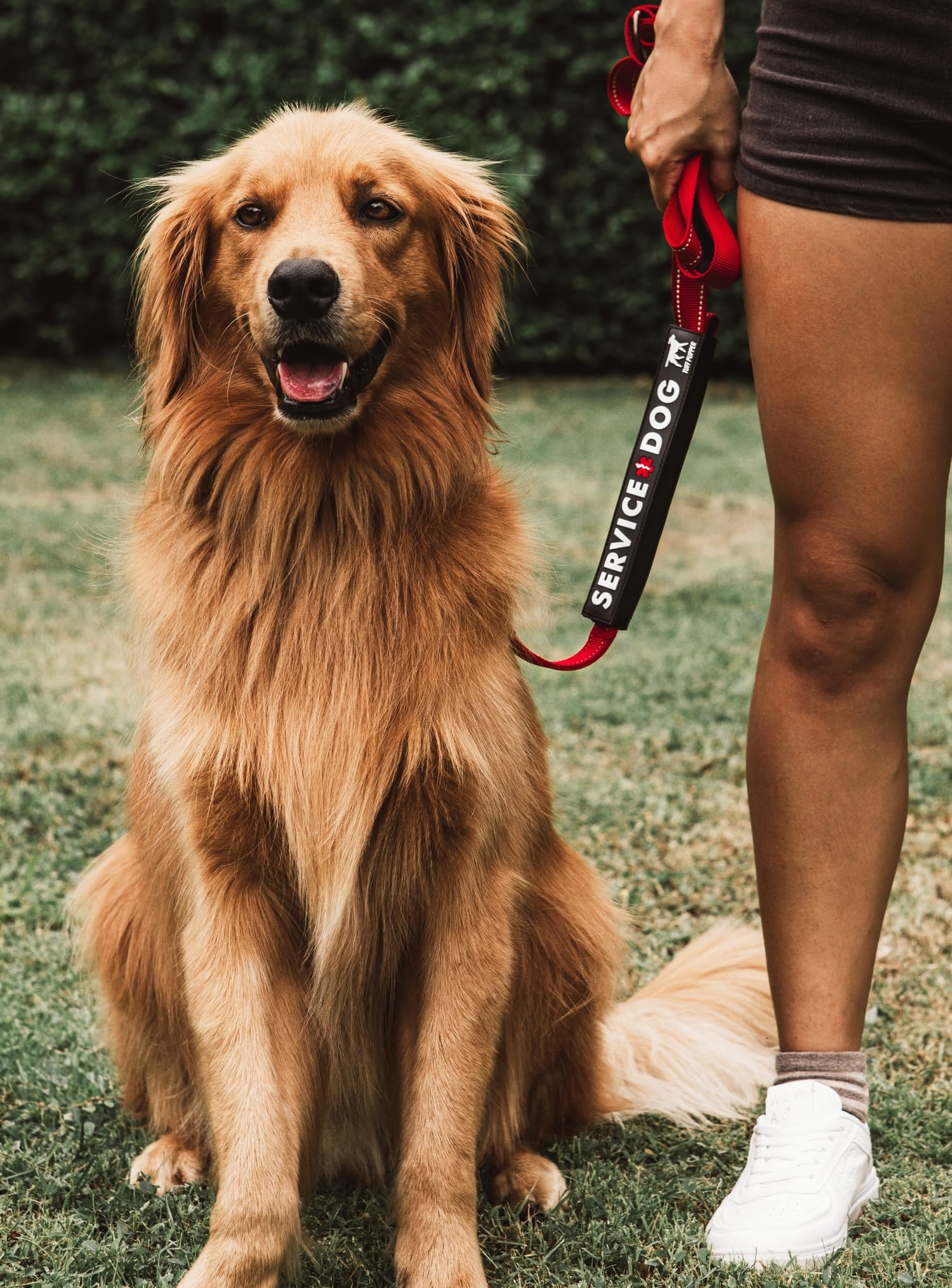 Ideal para caminatas, playa y parques, claro para otros dueños, Tuff Pupper.