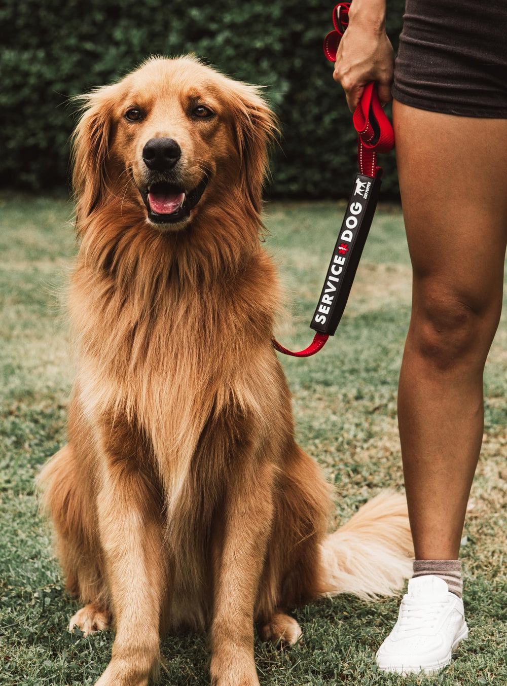 Ideal para caminatas, playa y parques, claro para otros dueños, Tuff Pupper.