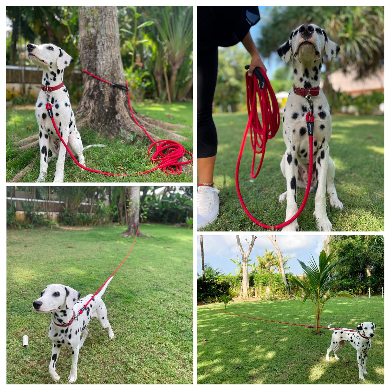 Tuff Pupper waist-worn leash setup provides hands-free versatility.