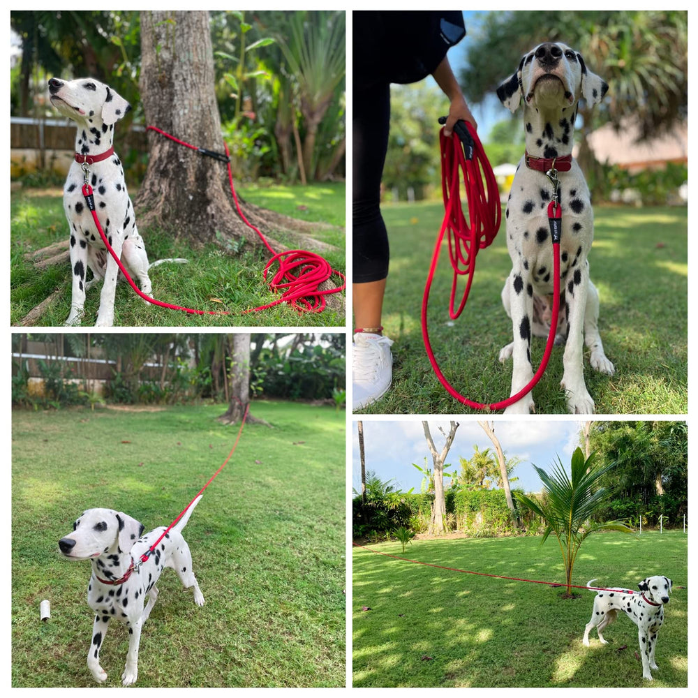 Tuff Pupper waist-worn leash setup provides hands-free versatility.