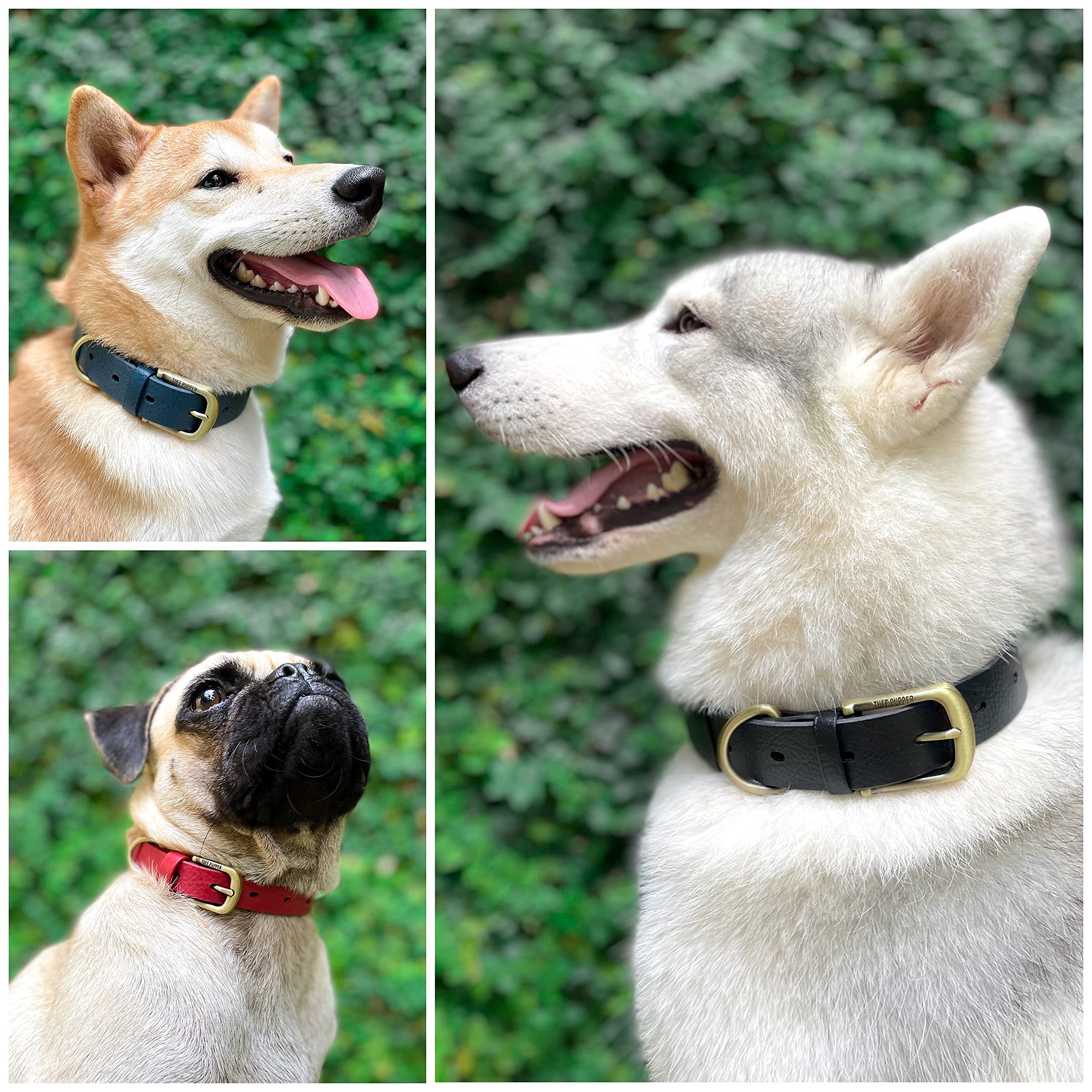 Tuff Pupper Waterproof Odor-Proof Collar stays odor-free through rain, mud and water play