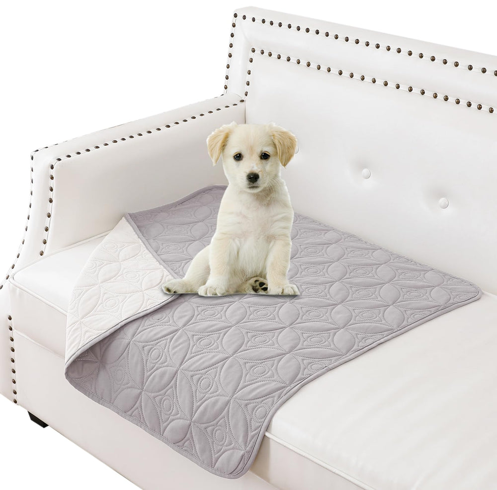 Tuffeel dog blanket on sofa protects furniture from pet hair and spills.
