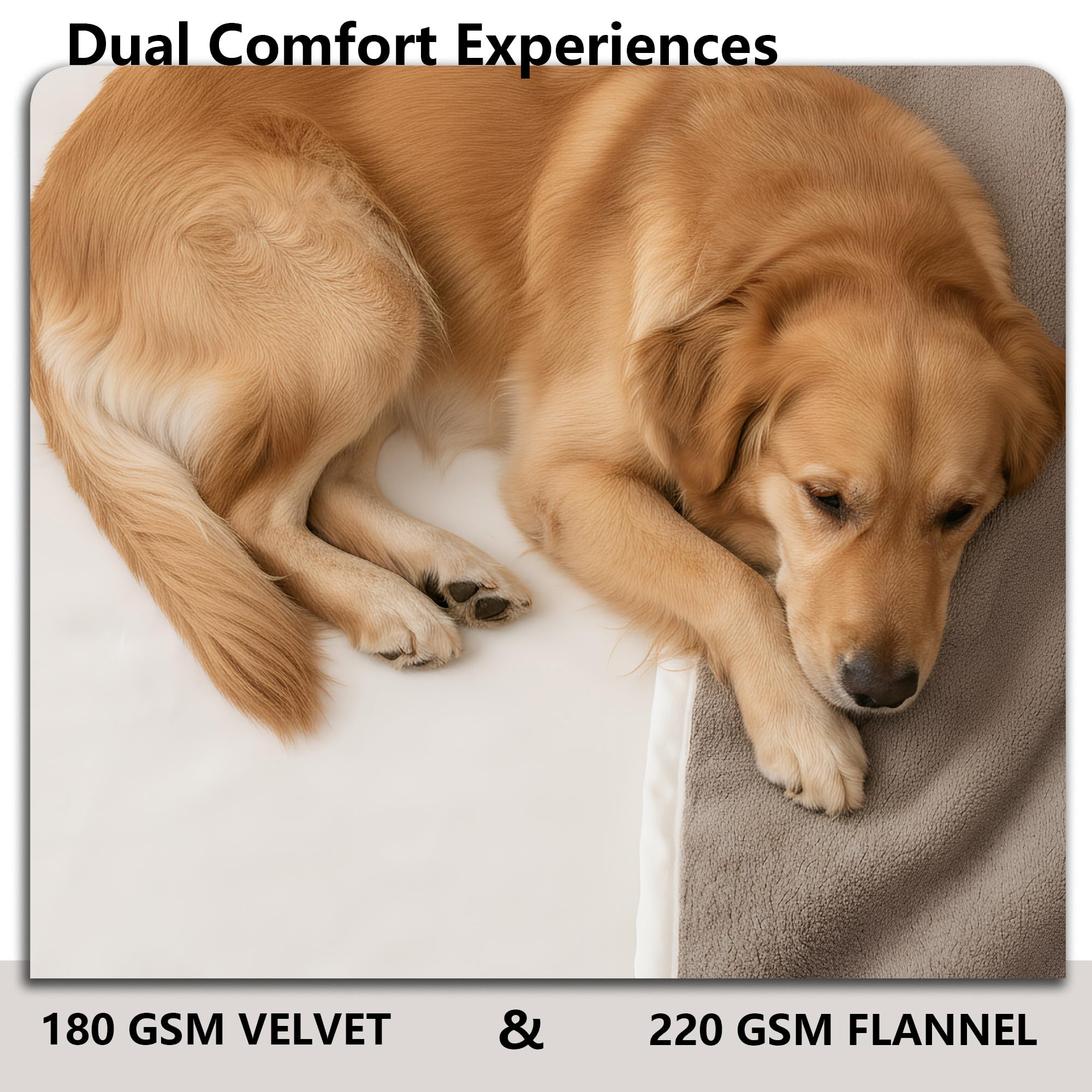 Tuffeel Blanket flannel-back provides warm, cozy feel for pets.
