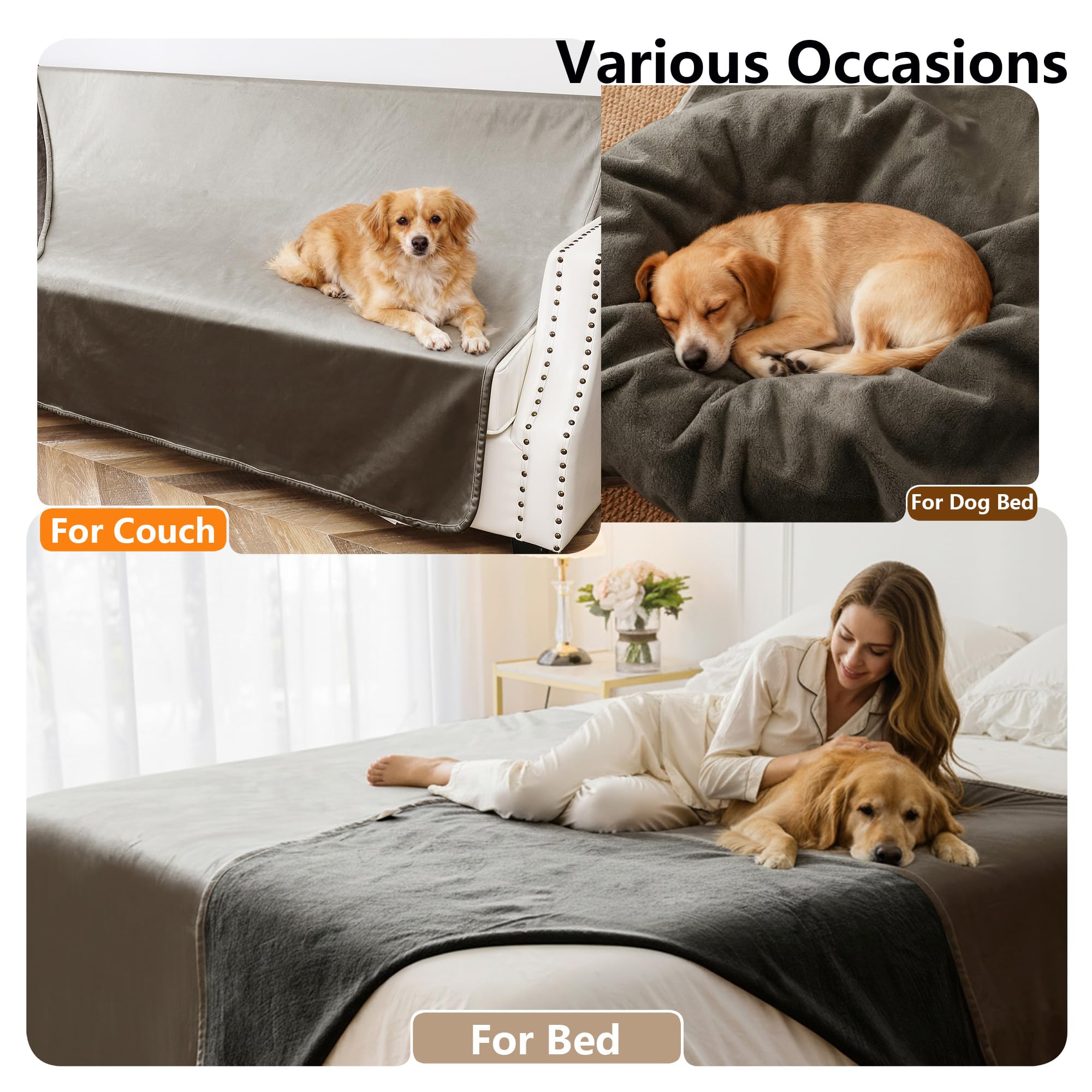 Tuffeel sofa protection demo guards furniture against spills.