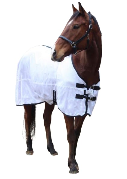 TuffRider Comfy Mesh Fly Sheet leg strap closeup shows secure fit during turnout.