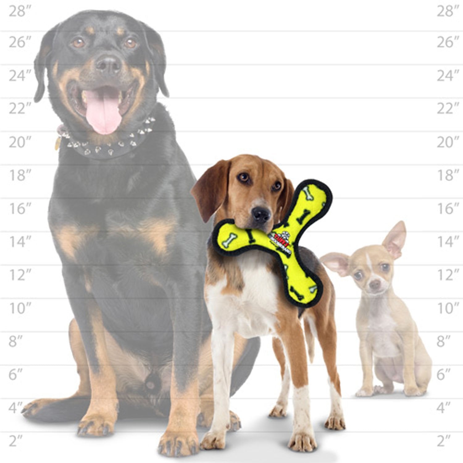 TUFFY Tuffy Jr Bowmerang Yellow Bone dog playing for small dogs and exercise