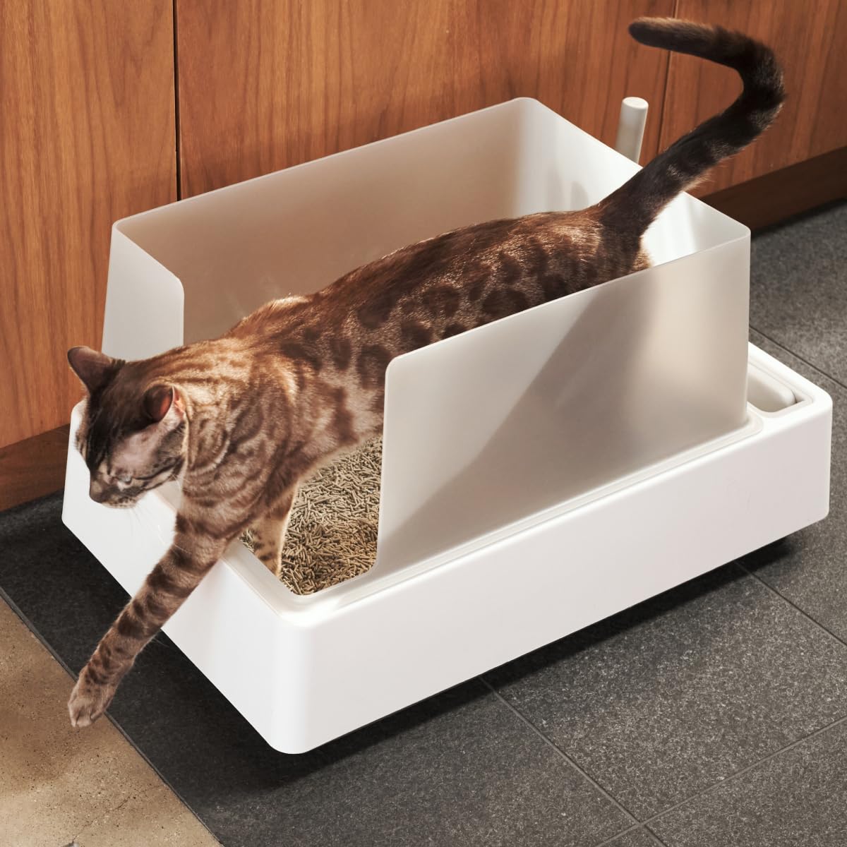 Tuft & Paw Cove grippy base helps prevent sliding on floors
