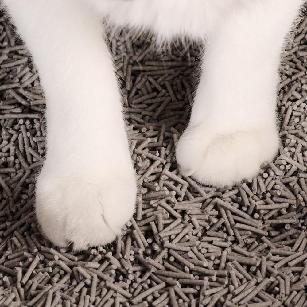 Tuft & Paw dust-free low-tracking litter keeps floors clean between changes.