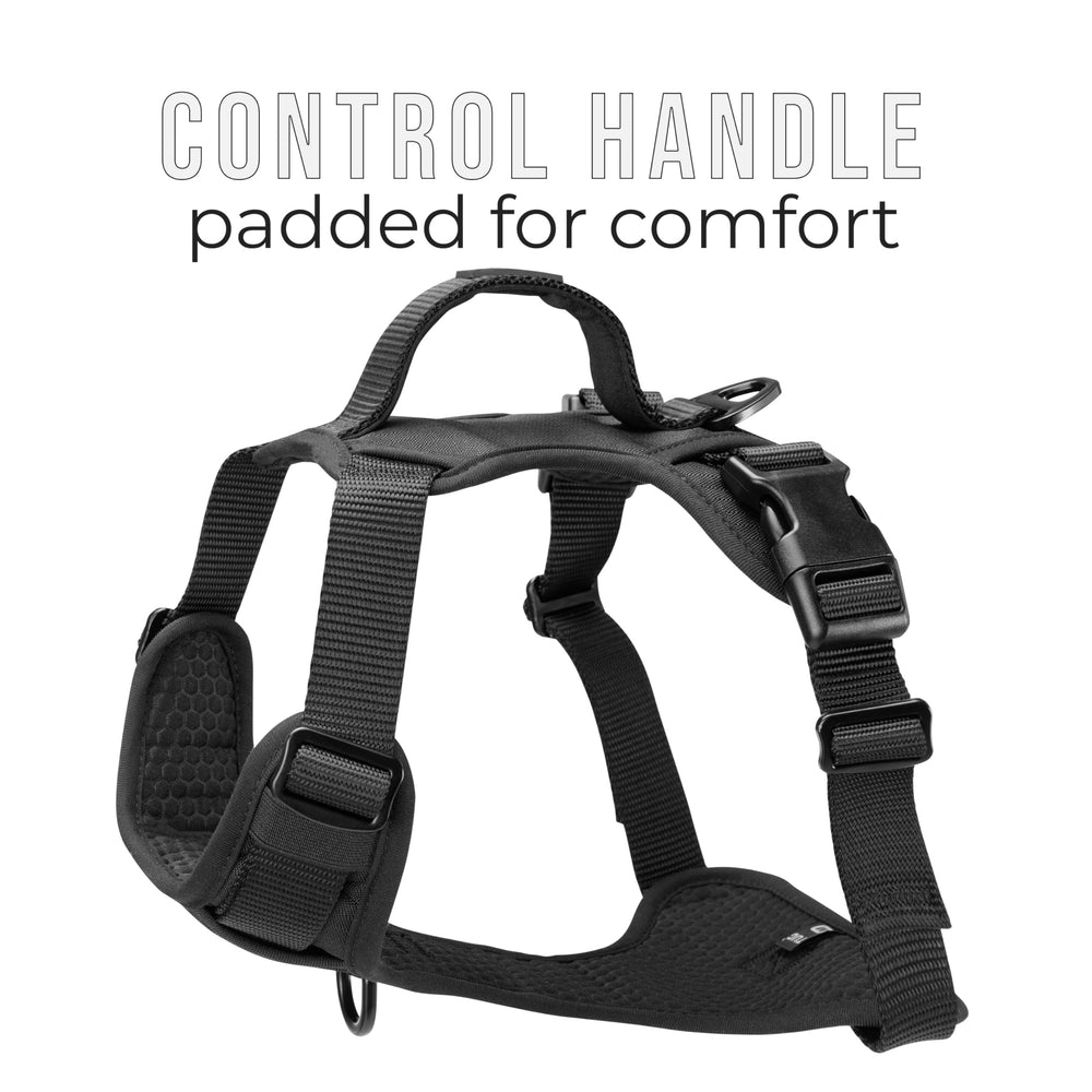 TUG dog harness back-handle view enables quick, hands-on control in crowds.