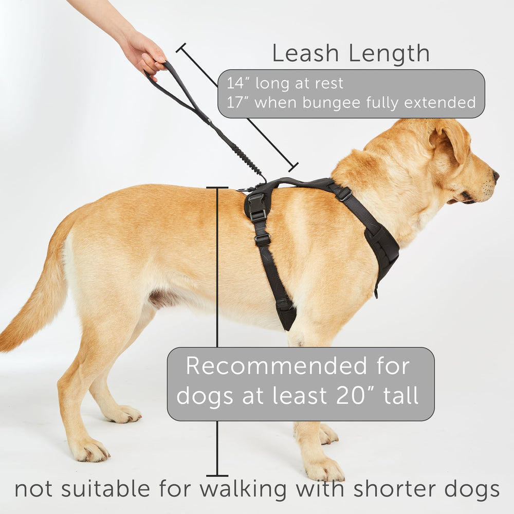 TUG Grab Harness nylon-construction stands up to active outdoor use.
