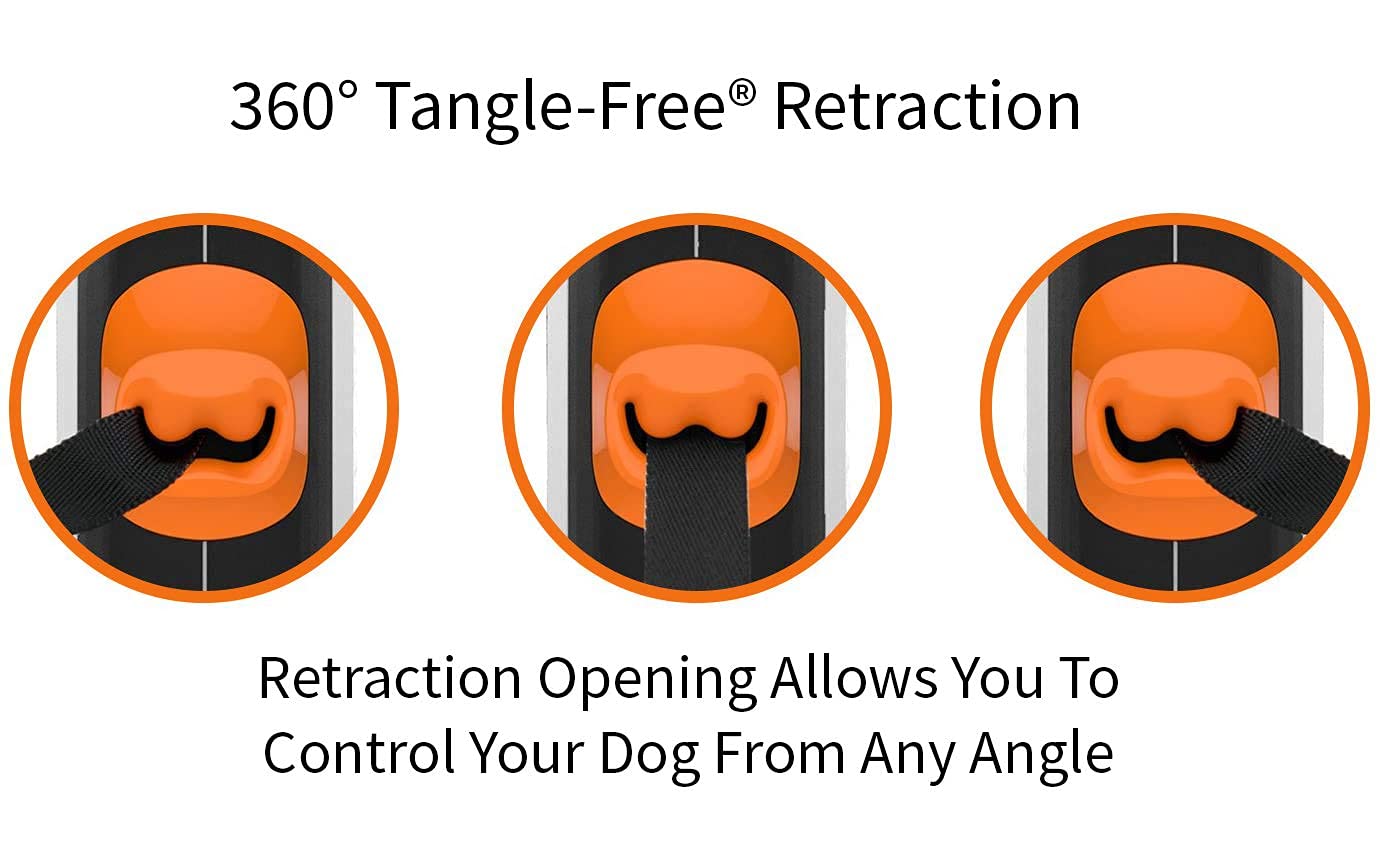 TUG heavy-duty internal coil ensures consistent retraction on longer strolls.