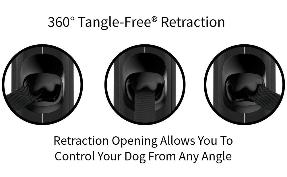 TUG Oval medium leash designed for dogs under 55 lbs during daily adventures.