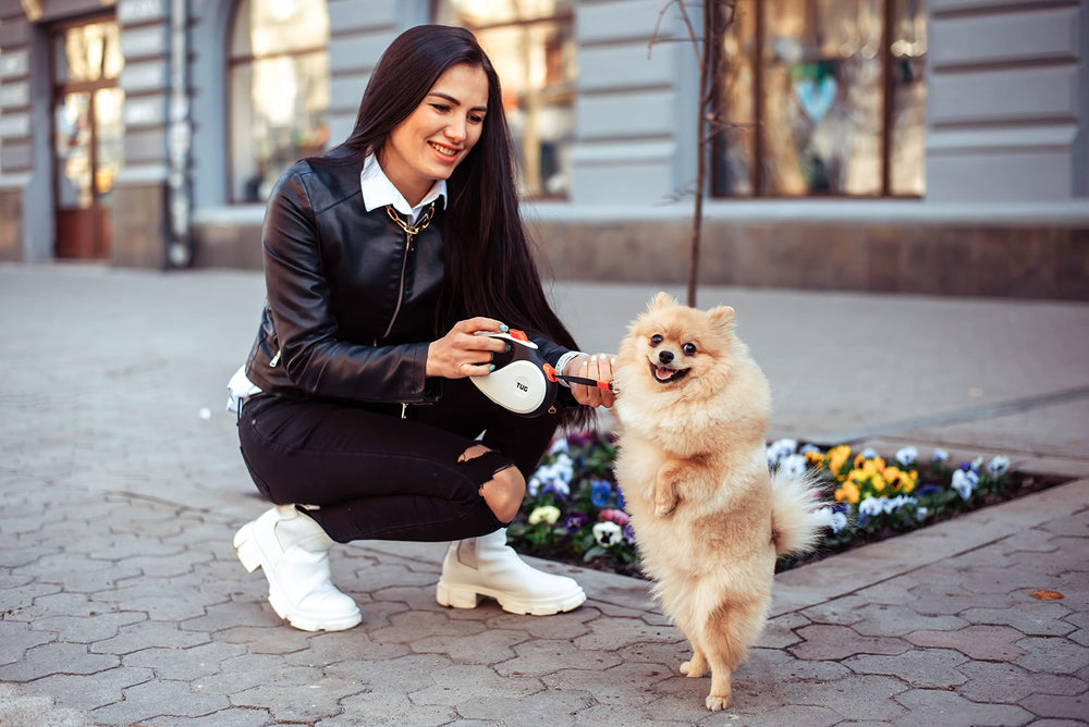 TUG small-dog-size-leash designed for dogs under 35 lbs.