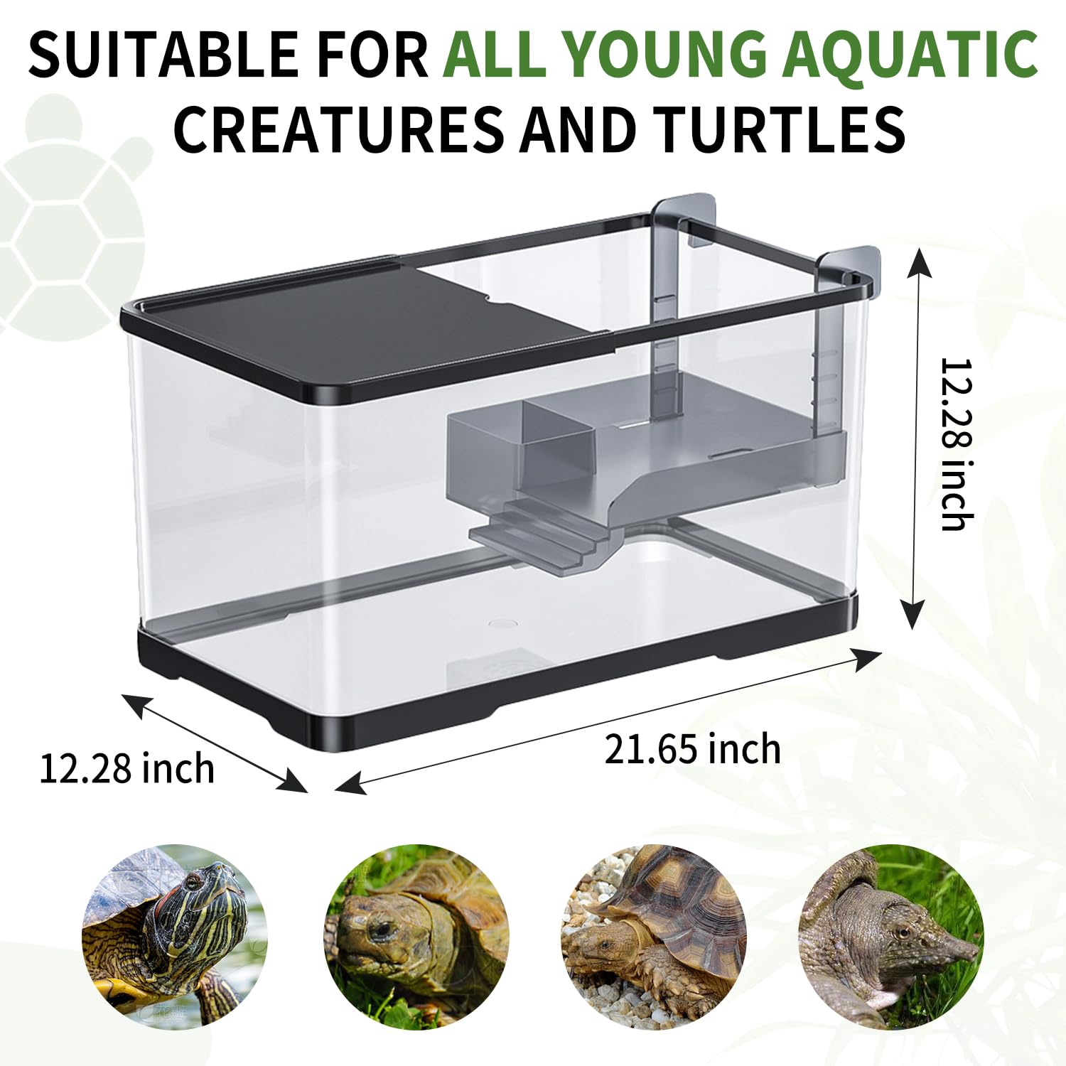 One-piece design from Tuhaoking tank kit supports deep water for aquatic pets.