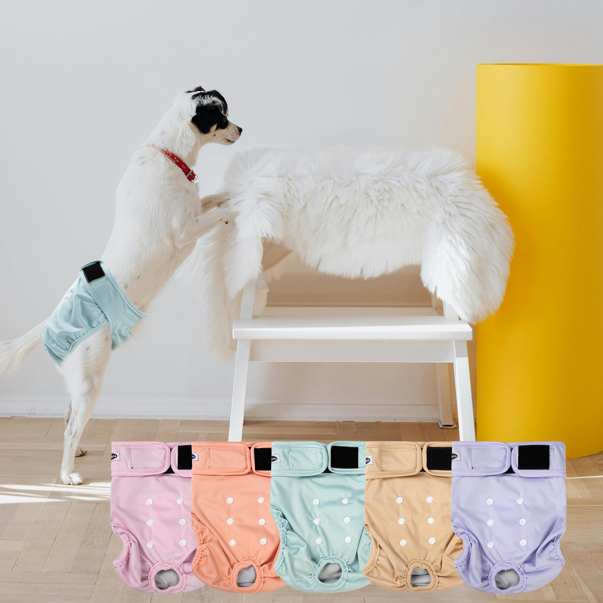 Tuiskusa dog-diapers-stylish-discreet-design blends with coat while protecting indoors.