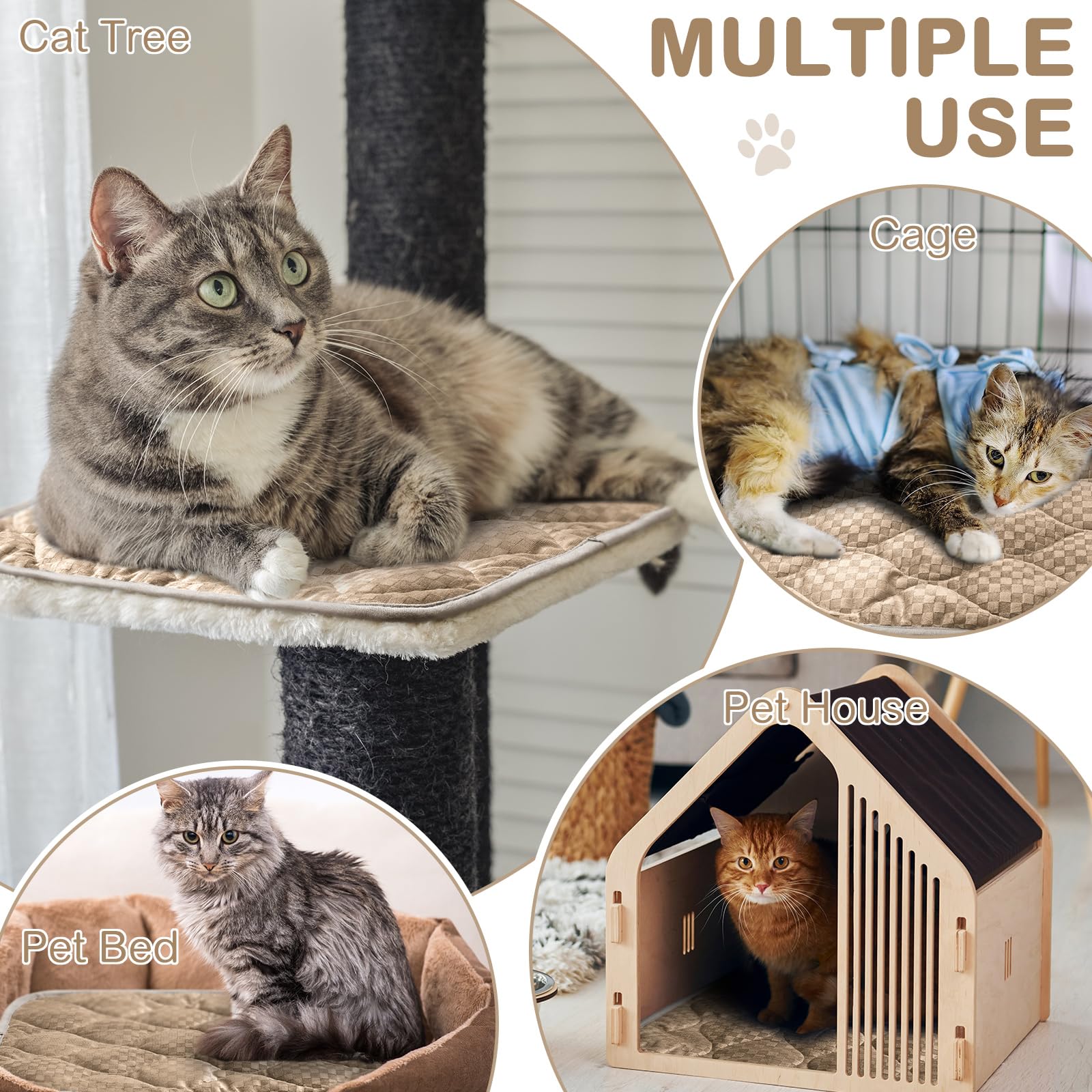 Tujoe cat bed pad in a crate ready for travel and outdoor use.