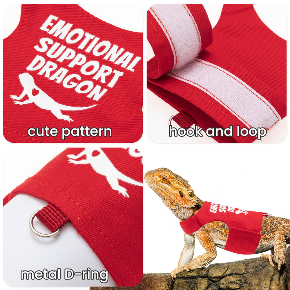 TUKOAW bearded dragon leash 5ft shows controlled outdoor exploration.