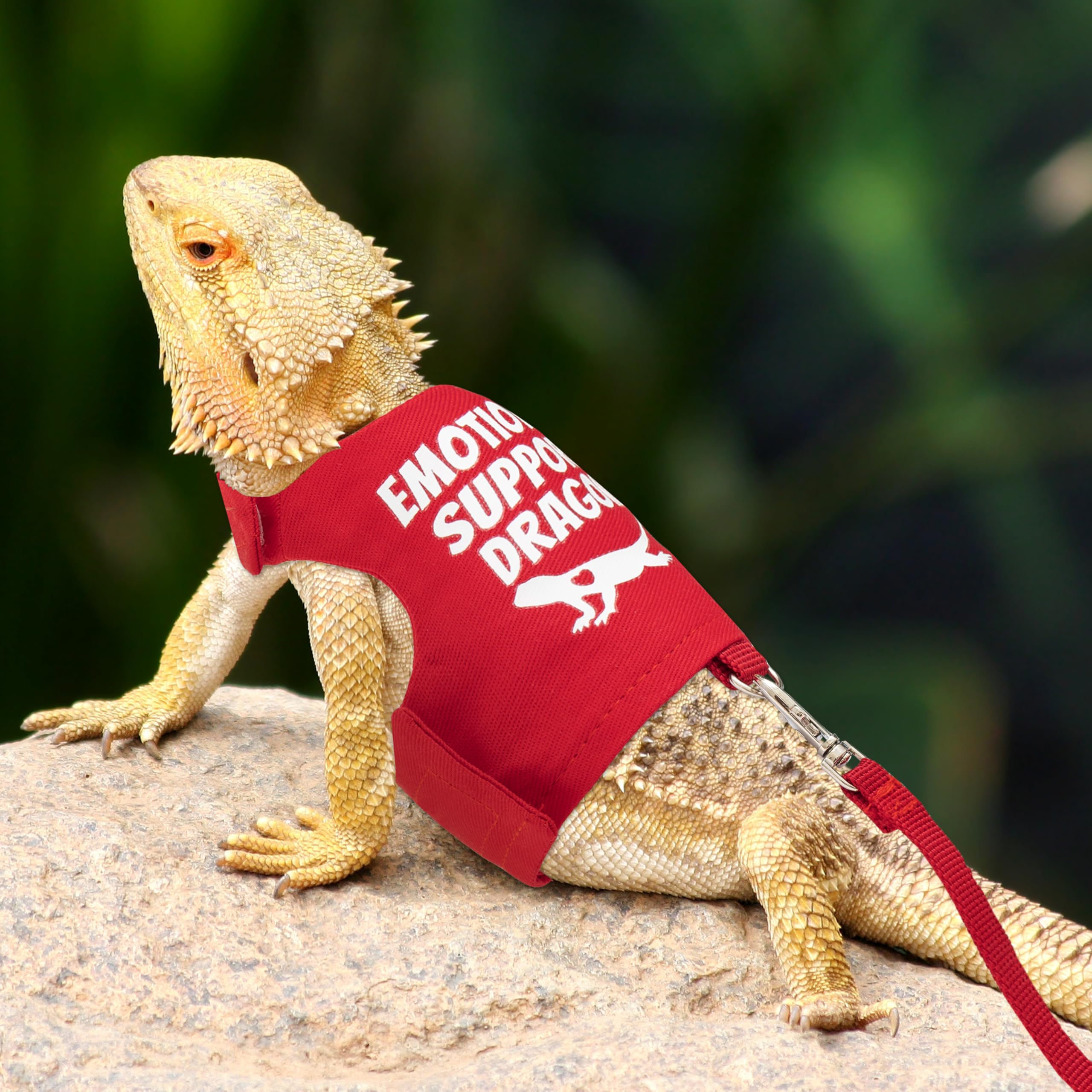 TUKOAW emotional-support-dragon print on harness adds playful detail for pet safety.