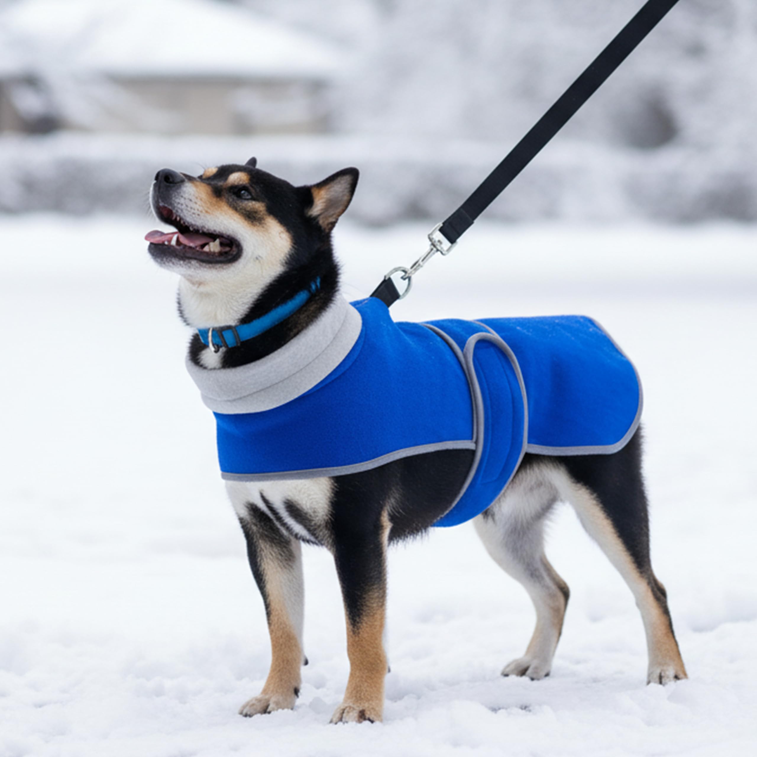 TUKOAW dog coat set ideal for walks, photo sessions, and cozy indoors