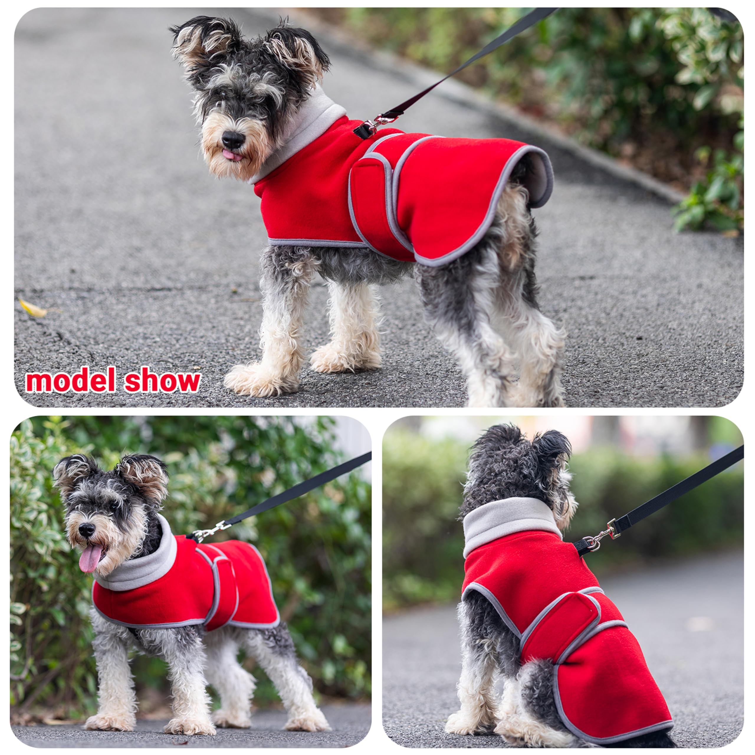 TUKOAW high-neck winter jacket on dog provides extra warmth