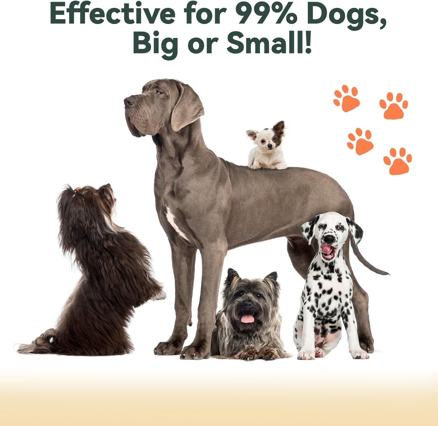 Tuncate anti-barking device USB-C indoor-use option for indoor charging