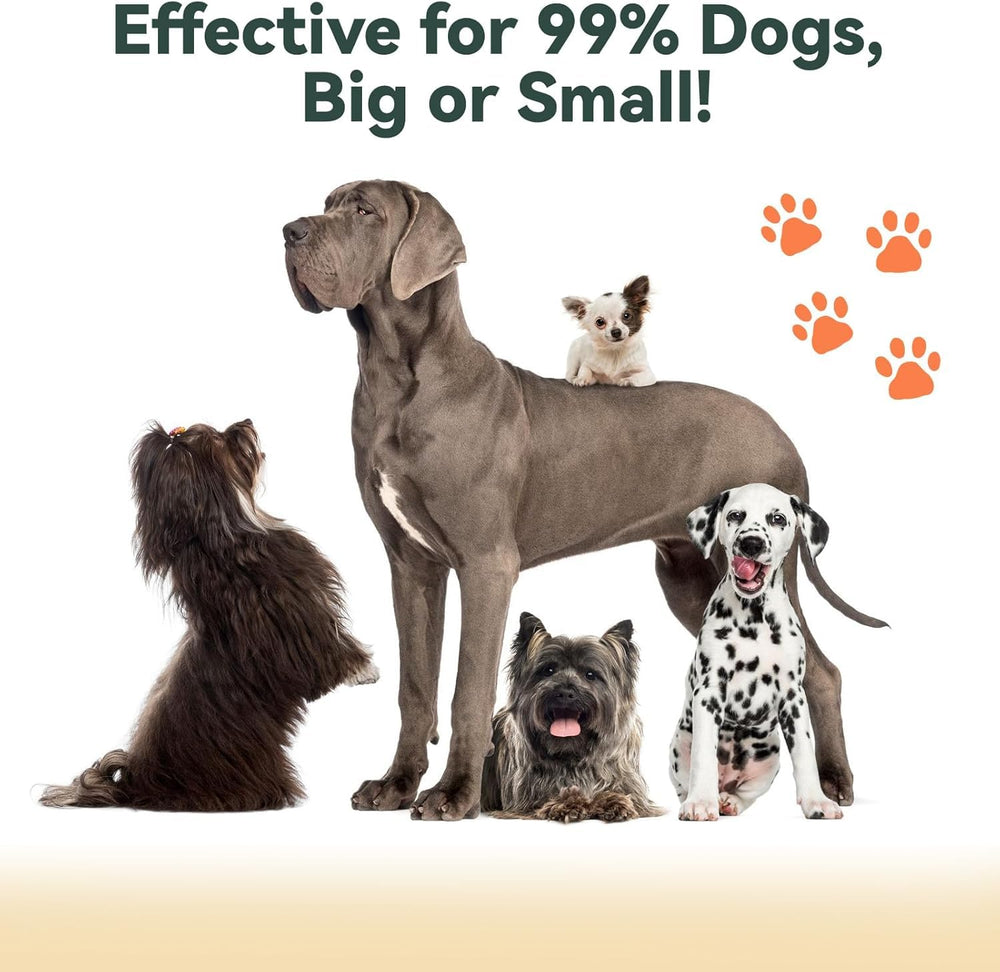 Tuncate anti-barking device USB-C indoor-use option for indoor charging