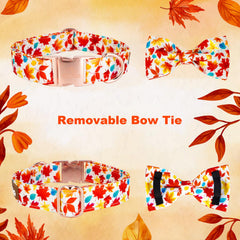 Tunkoo adjustable collar available in small, medium, and large for a precise fit.