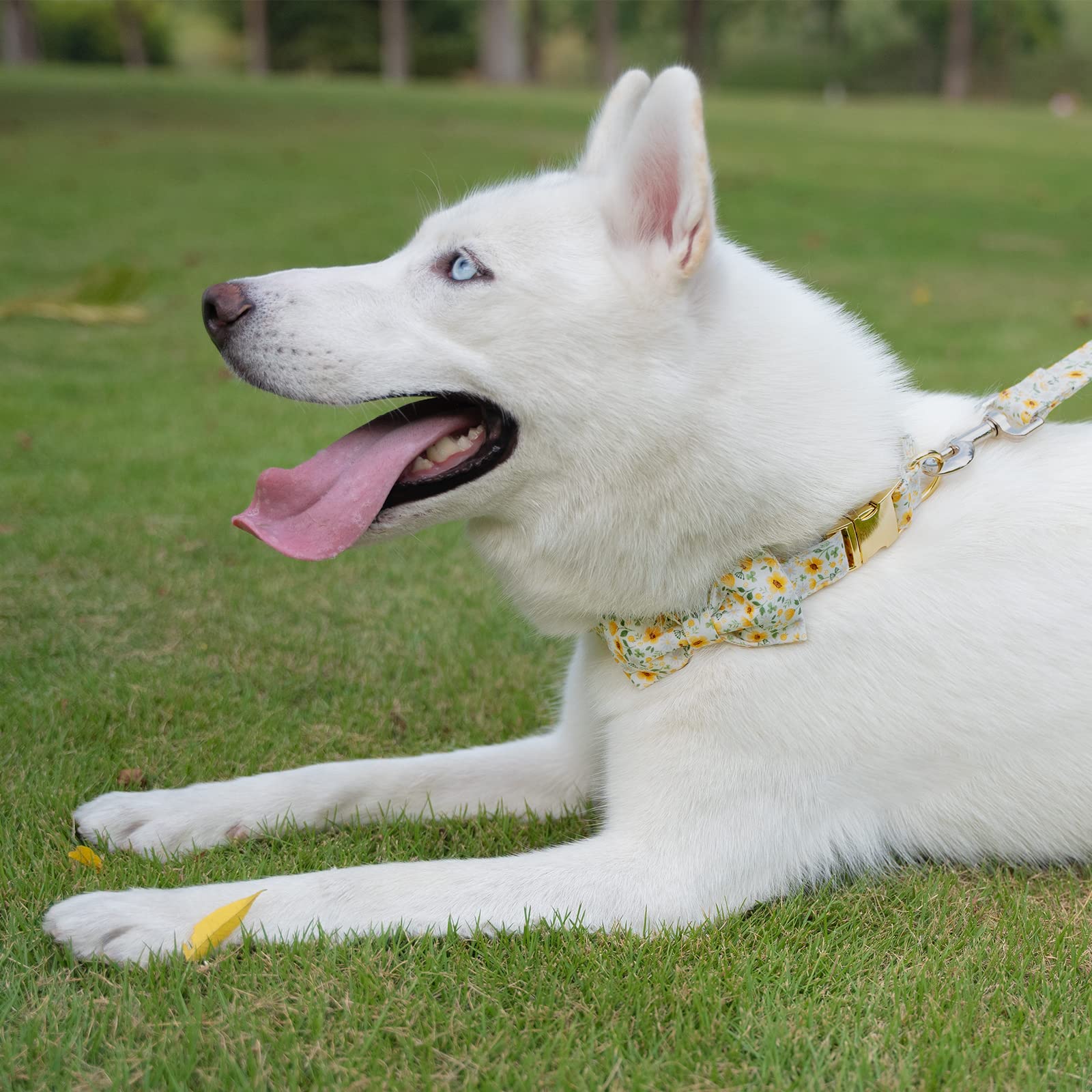 Tunkoo adjustable collar provides comfortable fit across sizes