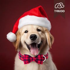 Tunkoo bow-tie detail on red plaid fabric highlighting holiday look