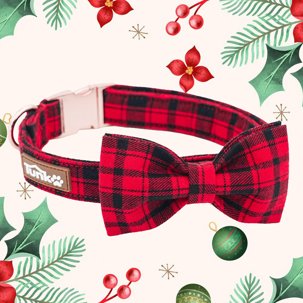 Tunkoo Christmas dog collar on small model highlighting adjustable fit for growing dogs