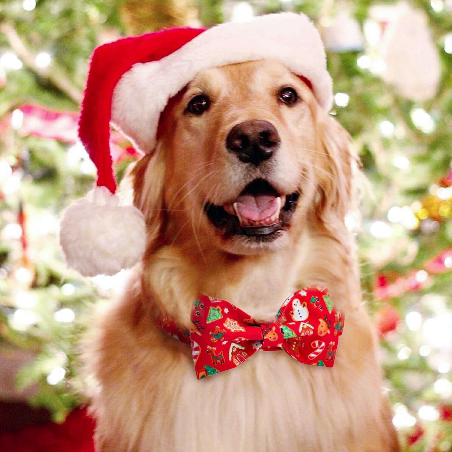 Tunkoo Christmas dog collar fully adjustable shown for best fit