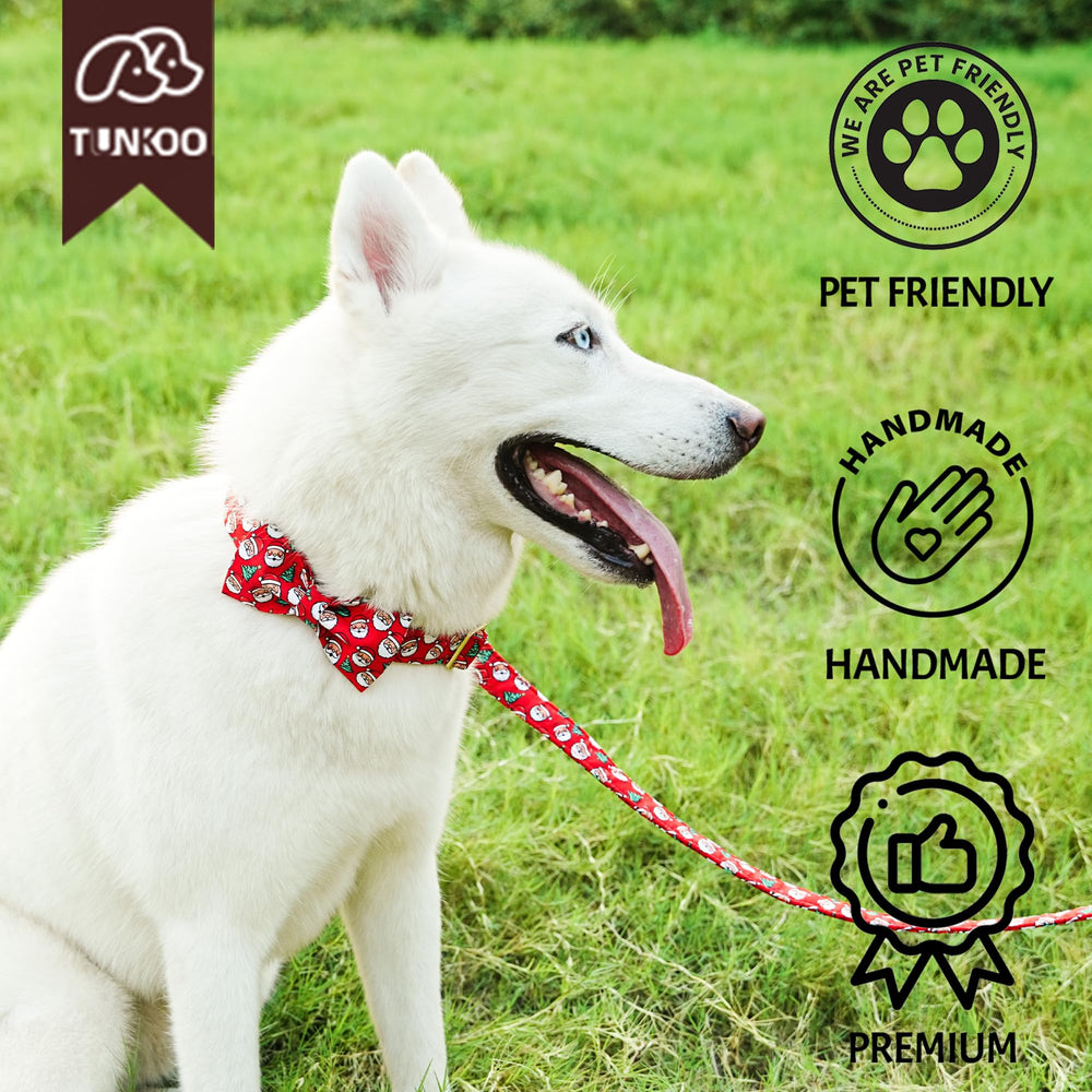 Tunkoo Christmas-dog-collar-model-wearing demonstrates holiday-ready style for dogs.