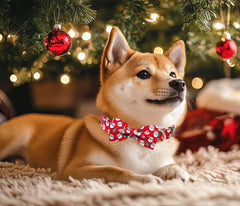 Tunkoo Christmas-pattern collar closeup emphasizes vibrant color retention and festive appeal.