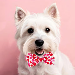 Tunkoo adjustable sizes collar ensures comfortable fit from small to large dogs.